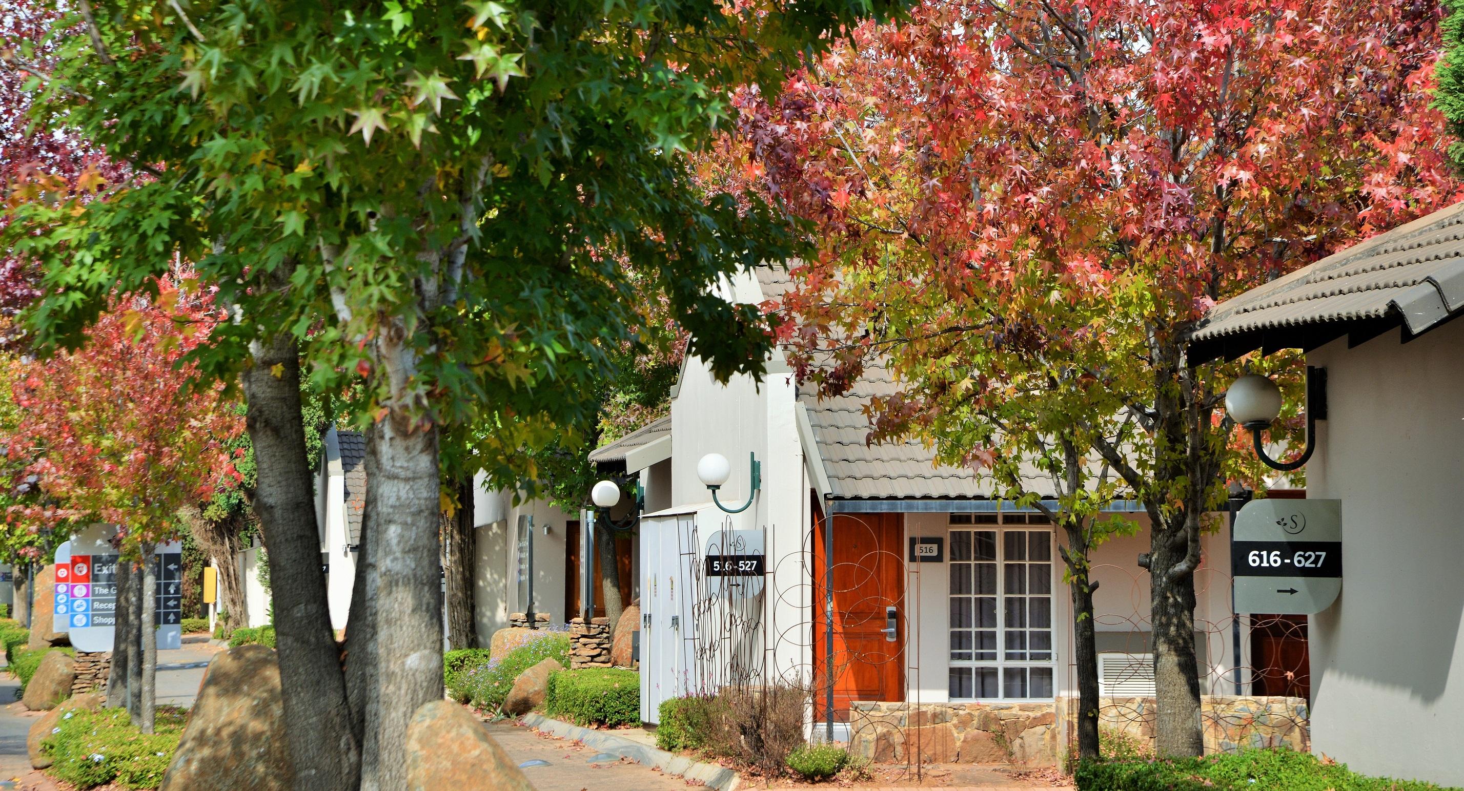 Silverbirch At Birchwood Boksburg Extérieur photo